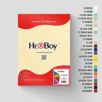 HERBOY FON KARTONU A4 NO:11 KREM 100 AD.